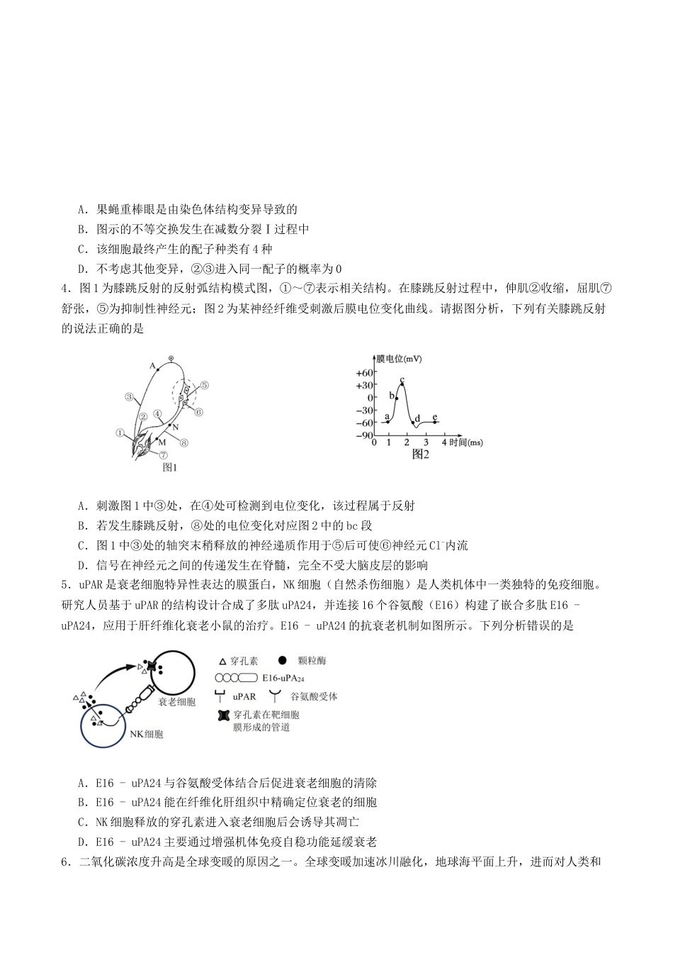 山东省启思大联考2026届高三上学期暑假第一次模拟考试（开学）生物试卷（有答案）.docx_第2页
