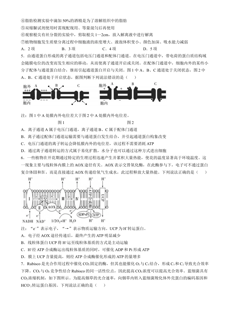 山东省实验中学2024—2025学年高三上学期第一次诊断生物试题(含答案）.docx_第2页