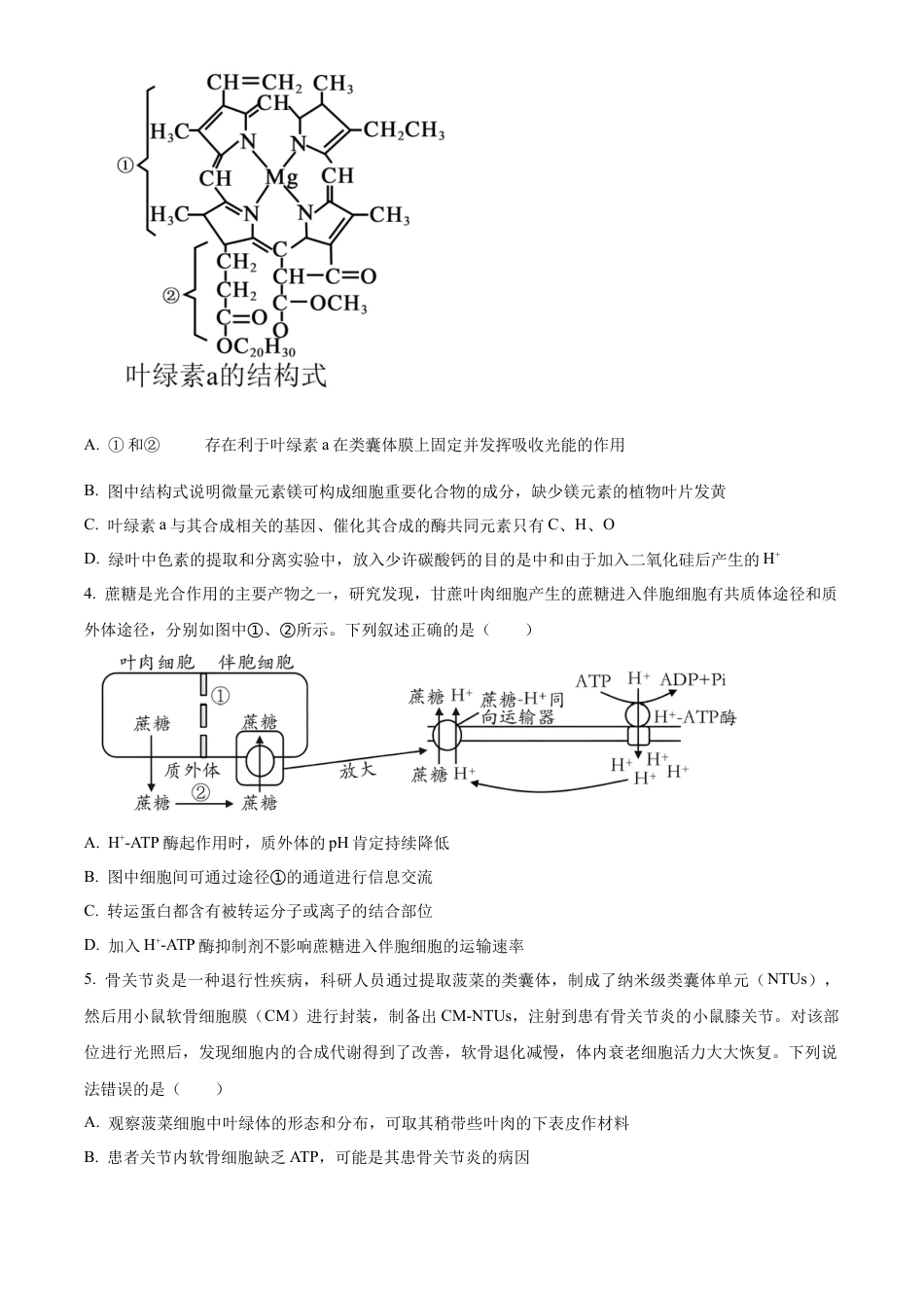 山东省泰安第一中学2025届高三上学期11月月考生物试题.docx_第2页