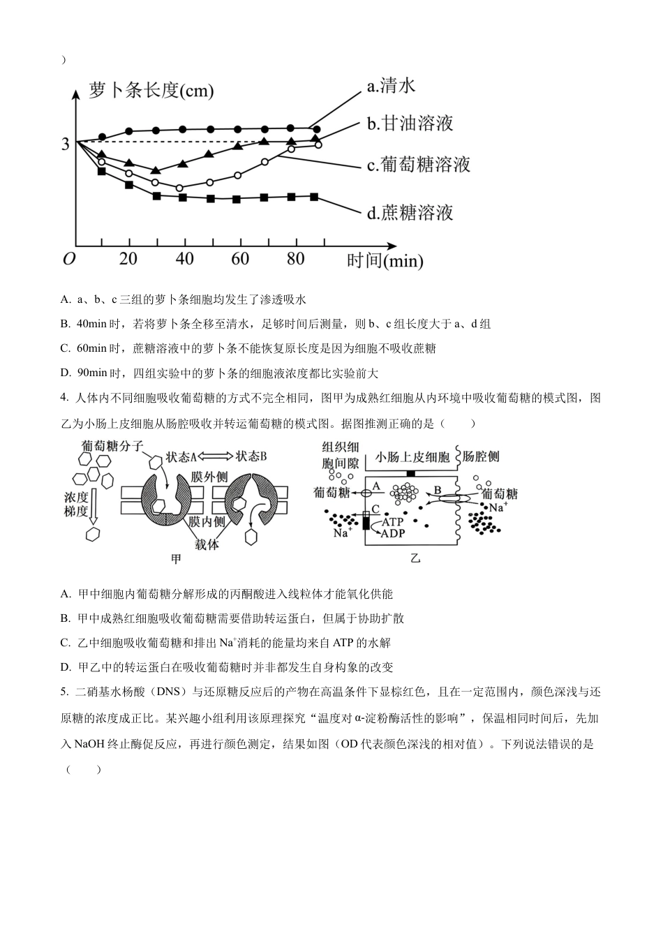 山东省泰安市2024-2025学年高三上学期11月期中考试生物.docx_第2页