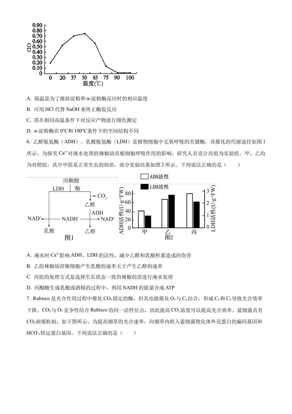 山东省泰安市2024-2025学年高三上学期11月期中考试生物.docx_第3页