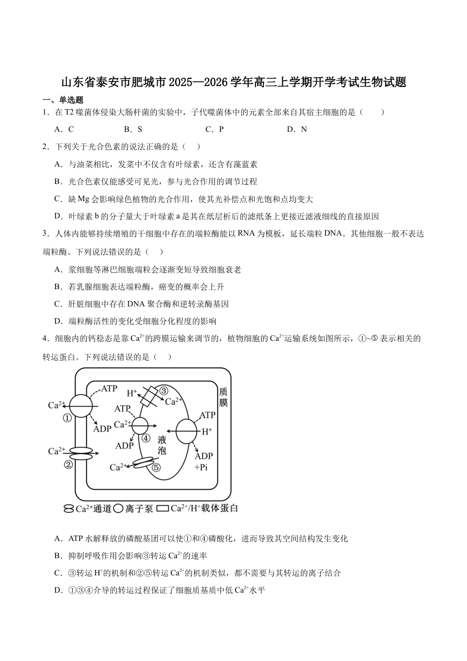 山东省泰安市肥城市2026届高三上学期开学考试生物试卷（含答案）.docx_第1页