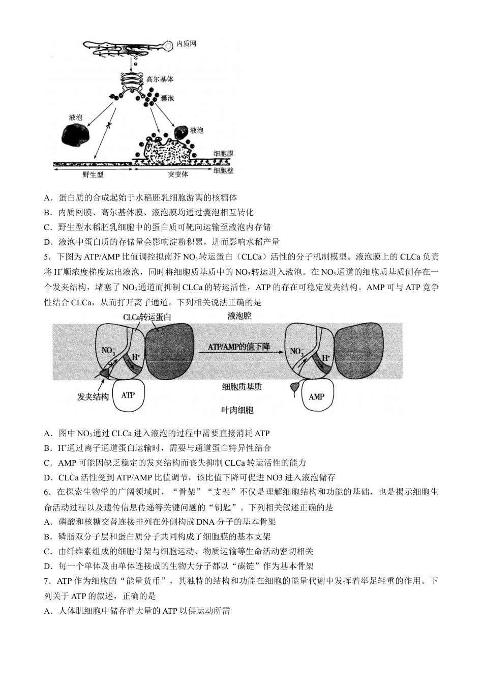 山西省部分学校2024-2025学年高三上学期学情监测生物试题.docx_第2页