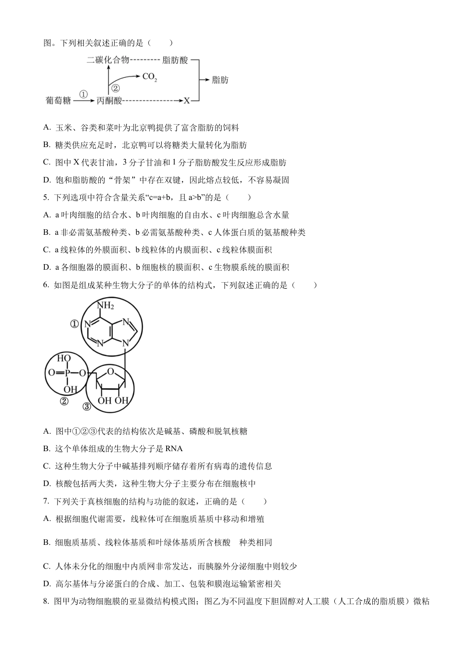 陕西省西安中学2024-2025学年高三上学期10月月考生物试题.docx_第2页
