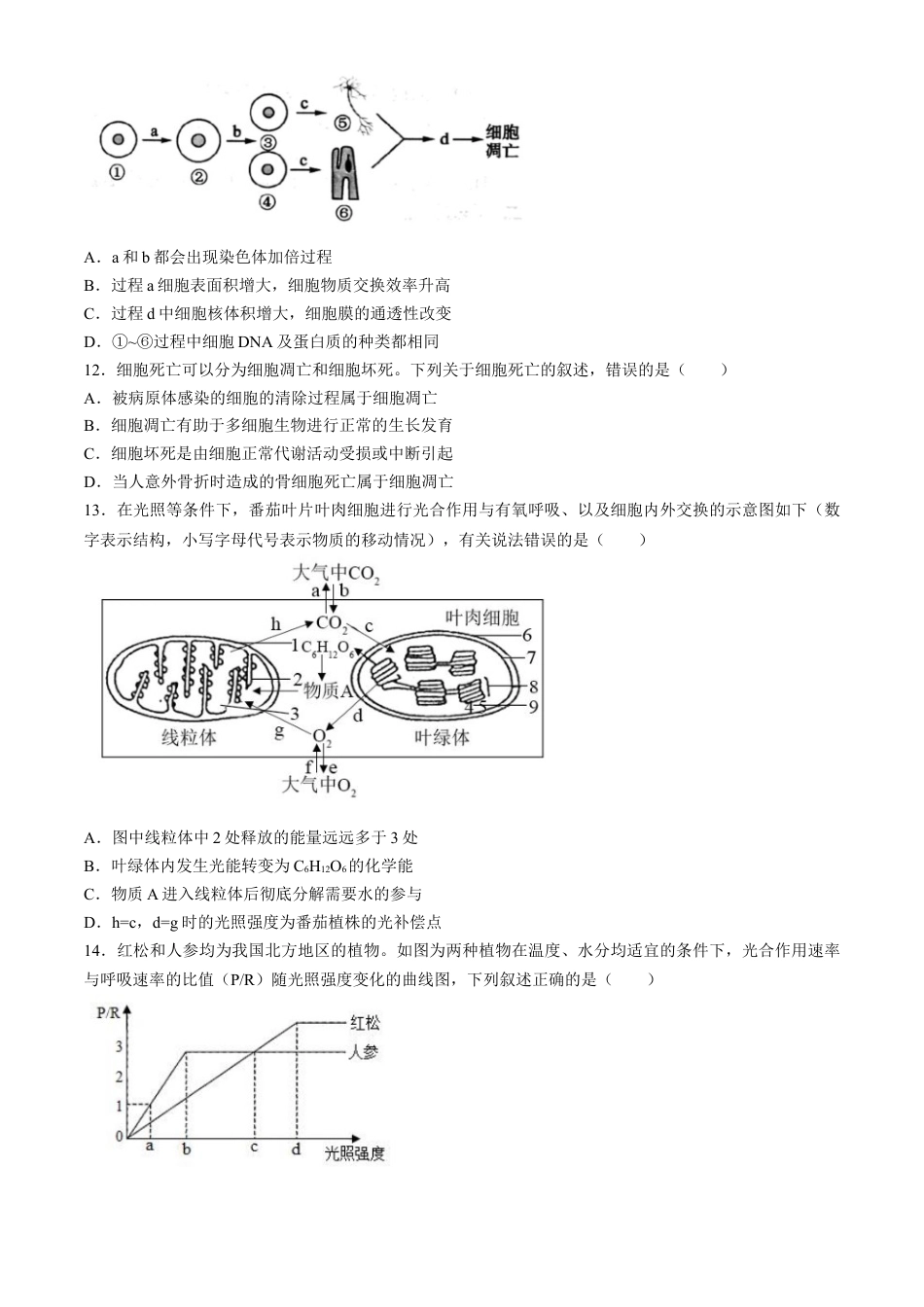 四川省成都列五中学2024-2025学年高三上学期入学摸底测试生物试题 Word版含答案.docx_第3页