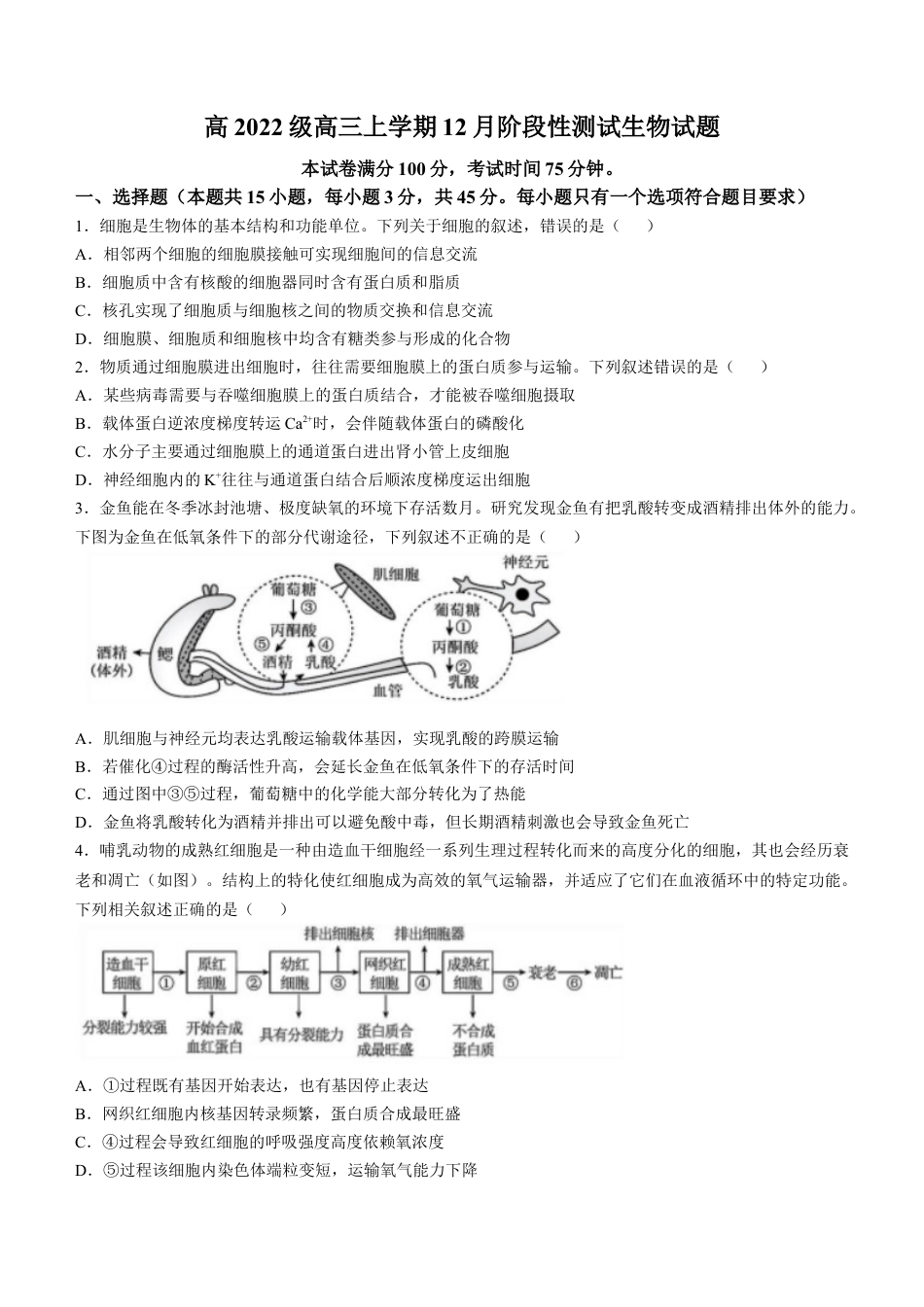 四川省成都市树德中学2024-2025学年高三上学期12月月考生物+答案.docx_第1页