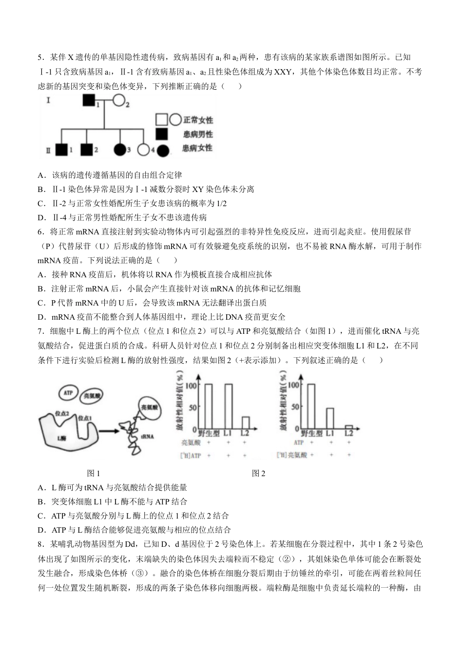 四川省成都市树德中学2024-2025学年高三上学期12月月考生物+答案.docx_第2页