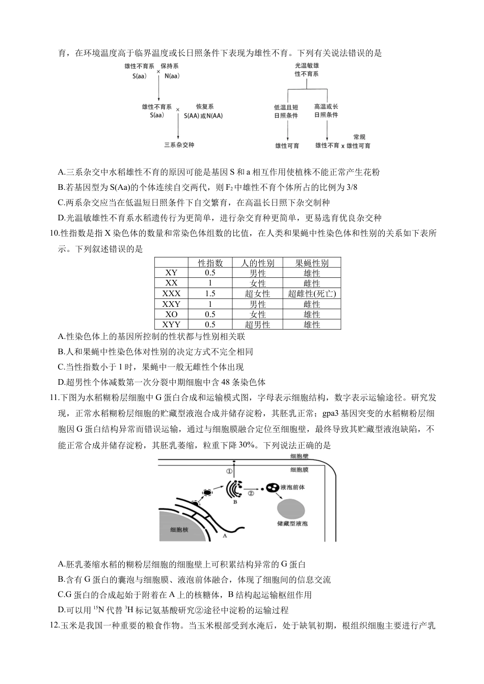 四川省绵阳市南山中学集团学校2024-2025学年高三上学期10月联考生物试题 Word版含答案_生物试题.docx_第3页