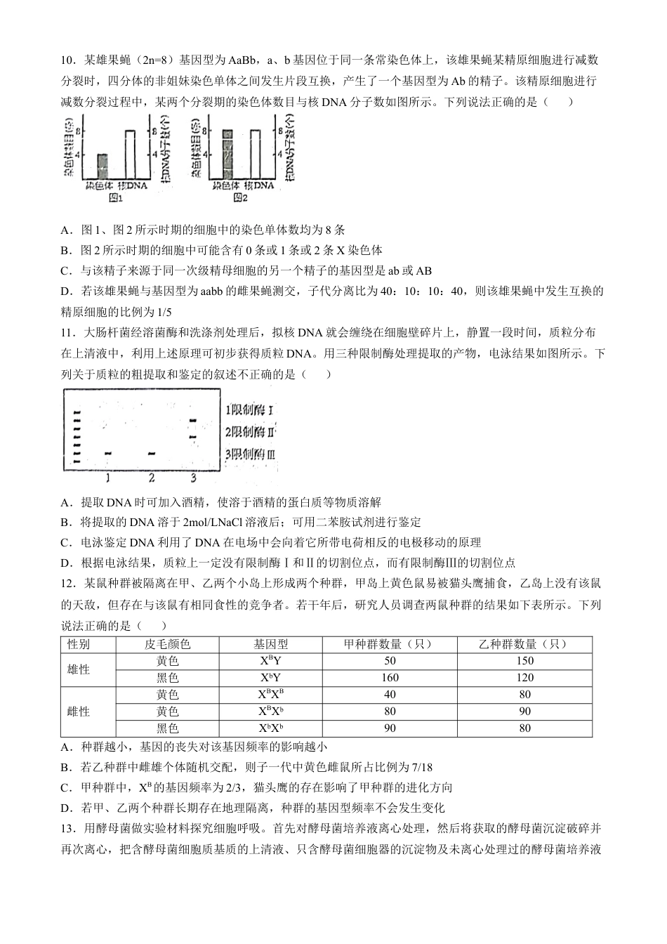 四川省南充市阆中东风学校2024-2025学年高三12月月考试题生物+答案.docx_第3页