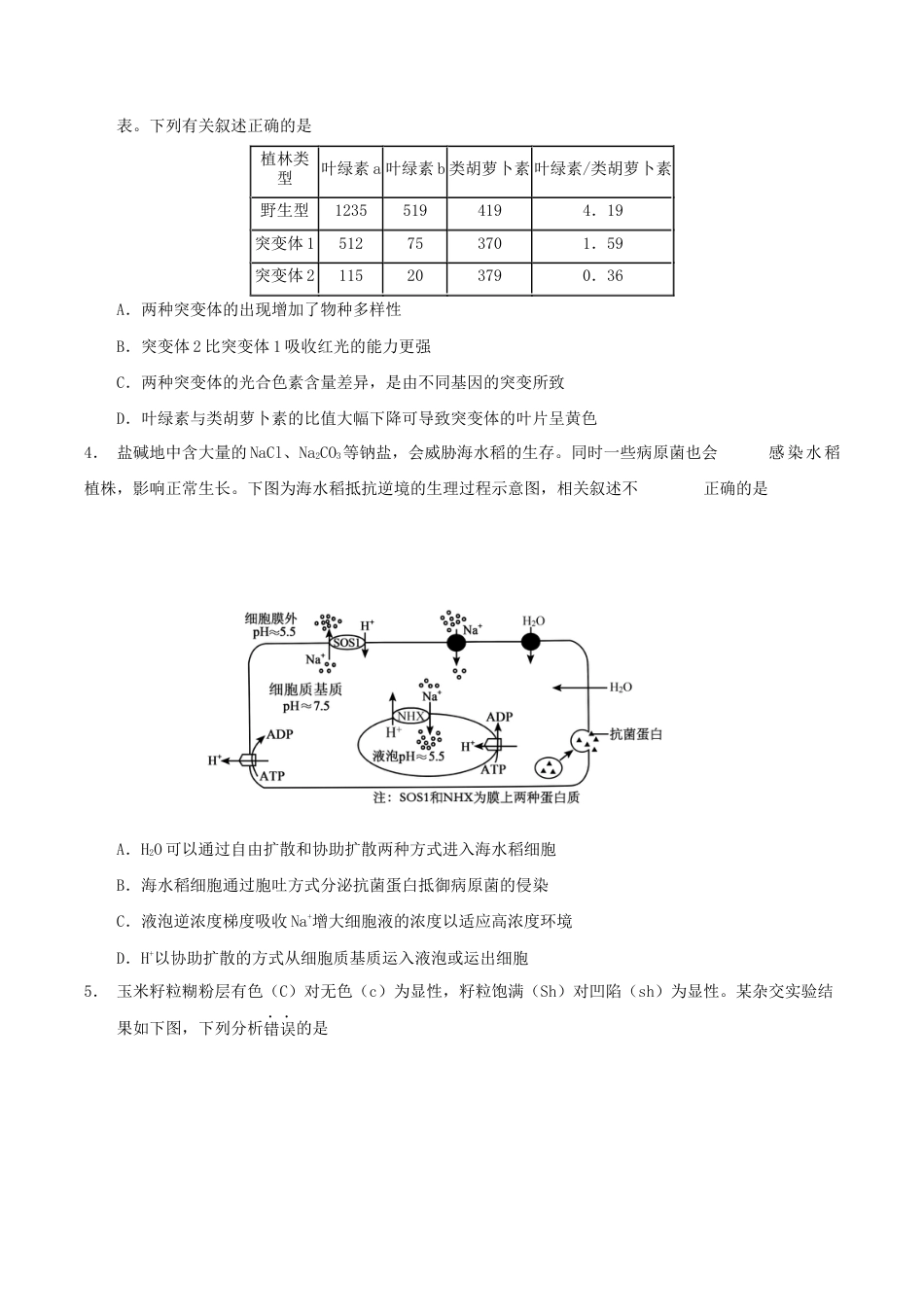 云南省玉溪第一中学2026届高三上学期适应性测试（四）生物 Word版含答案.docx_第2页