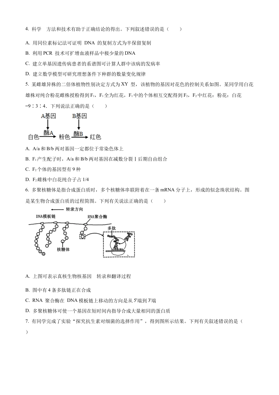 云南师范大学附属中学2025届高三高考适应性月考卷（四）生物.docx_第2页