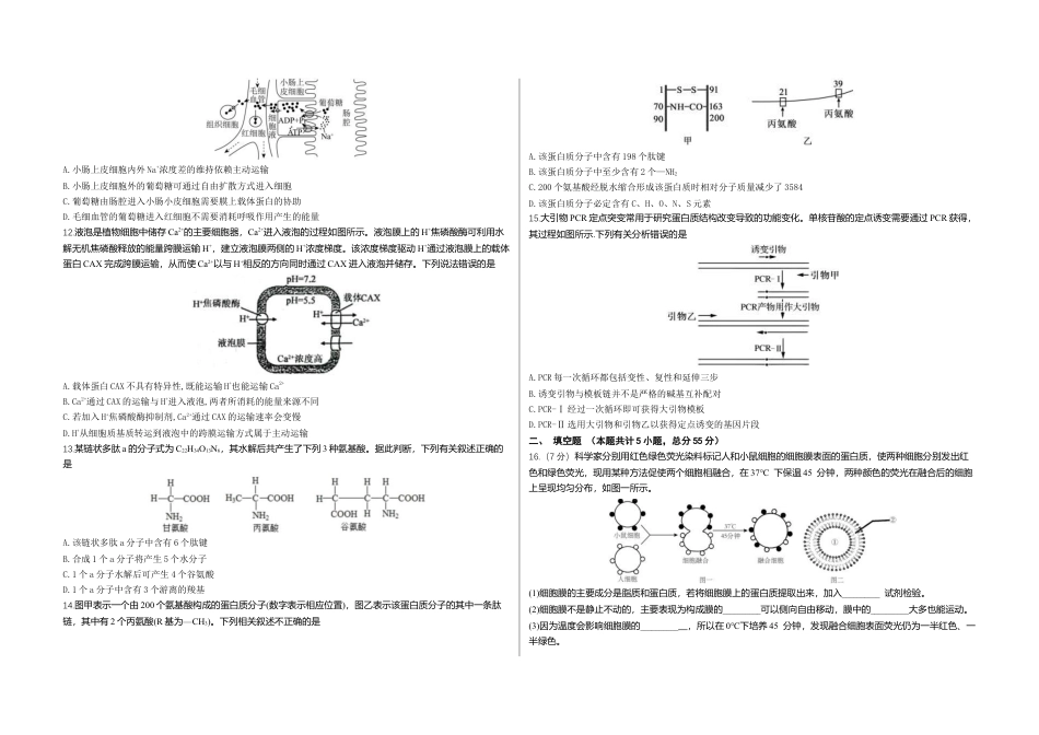 重庆市涪陵五中高2025届2024年上期开学考试生物试题（含答案）.docx_第2页