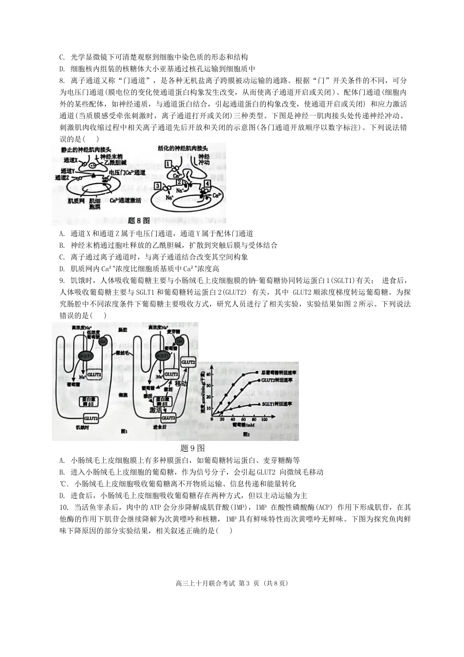 重庆市西南大学附属中学、重庆育才中学等学校2024-2025高三上学期10月联考生物试题（无答案）.docx_第3页
