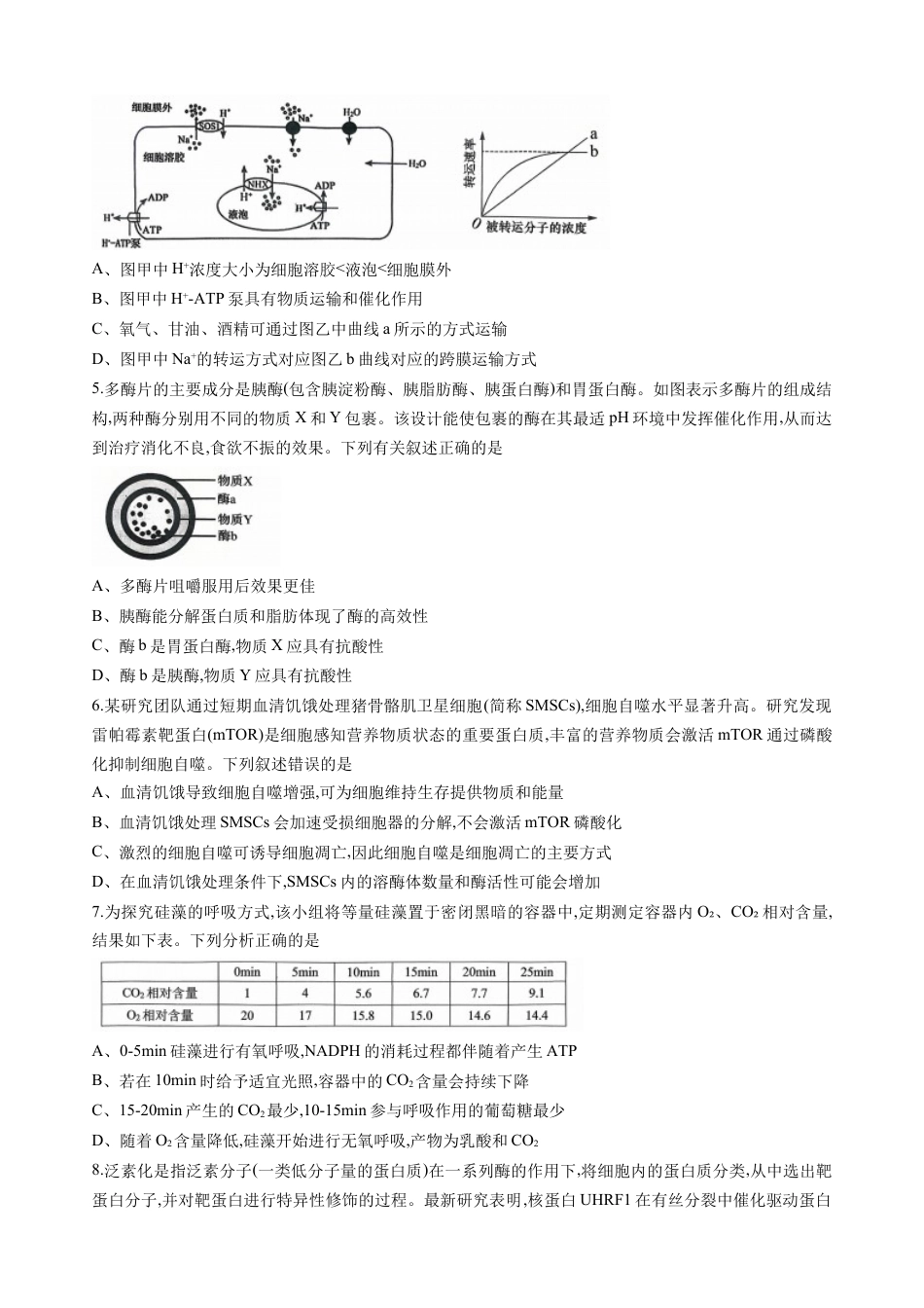 重庆市西南大学附属中学2025-2026学年高三上学期10月月考生物试卷（无答案）.docx_第2页