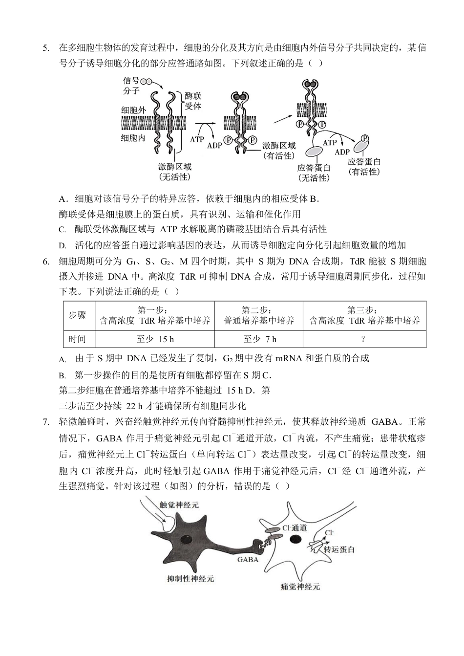 重庆市西南大学附属中学校2024-2025学年高三上学期11月阶段性检查生物试题（二））.docx_第2页
