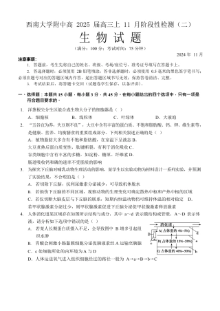 重庆市西南大学附属中学校2024-2025学年高三上学期11月阶段性检查生物试题（二））.docx