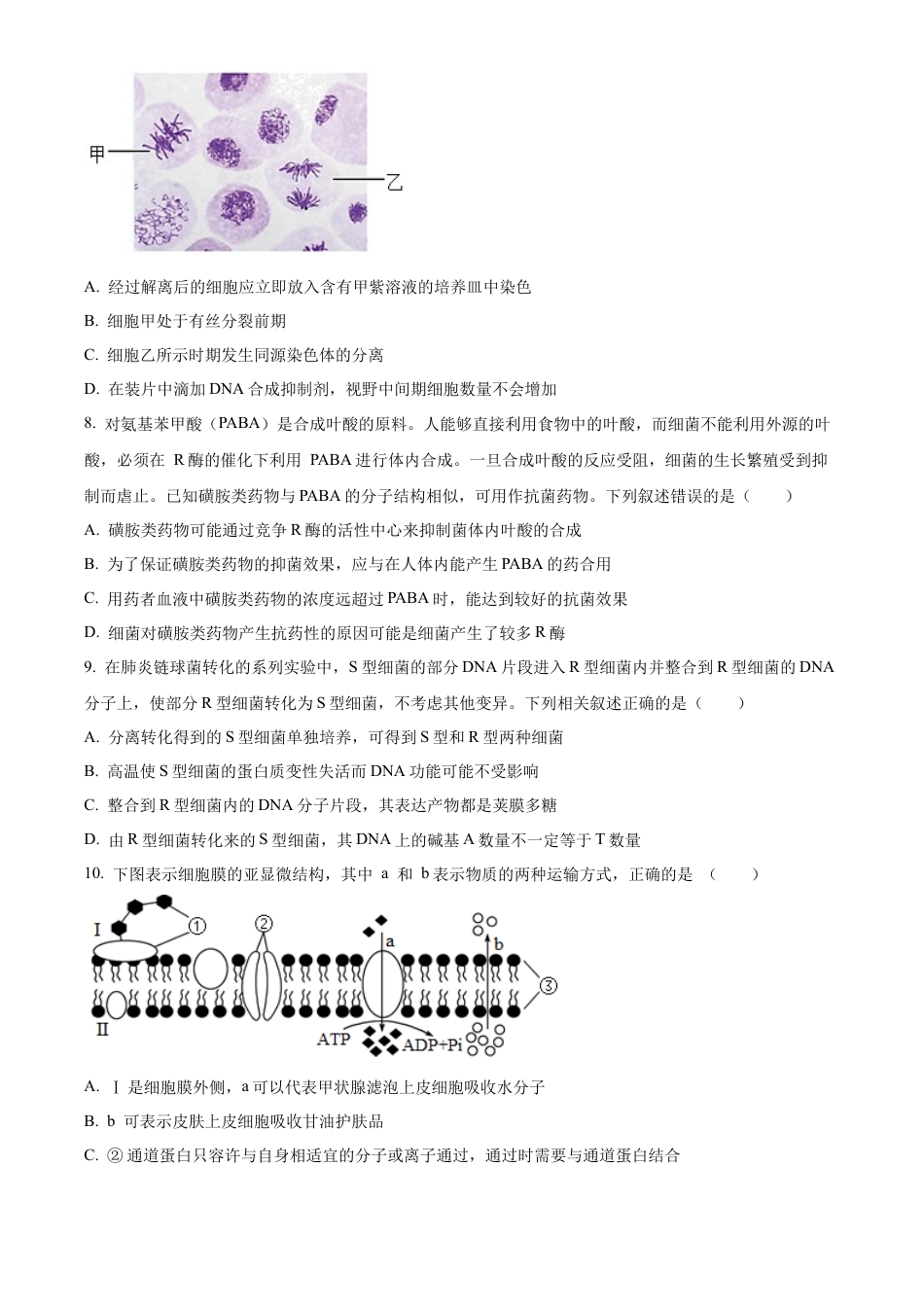 重庆市重庆市重庆乌江新高考协作体2024-2025学年高三上学期10月月考生物试题 Word版无答案.docx_第2页