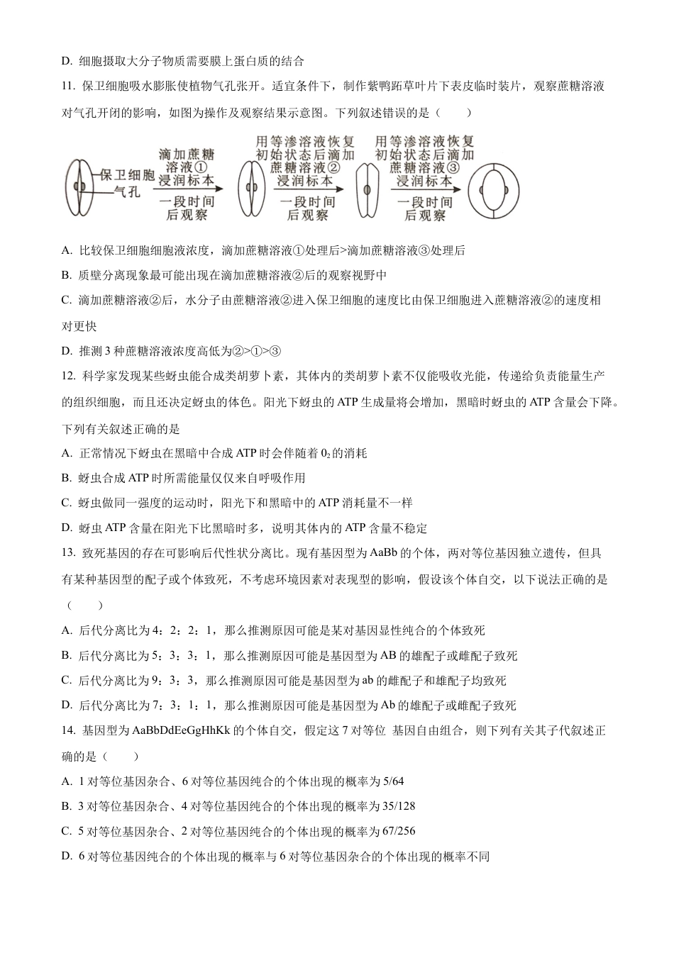 重庆市重庆市重庆乌江新高考协作体2024-2025学年高三上学期10月月考生物试题 Word版无答案.docx_第3页