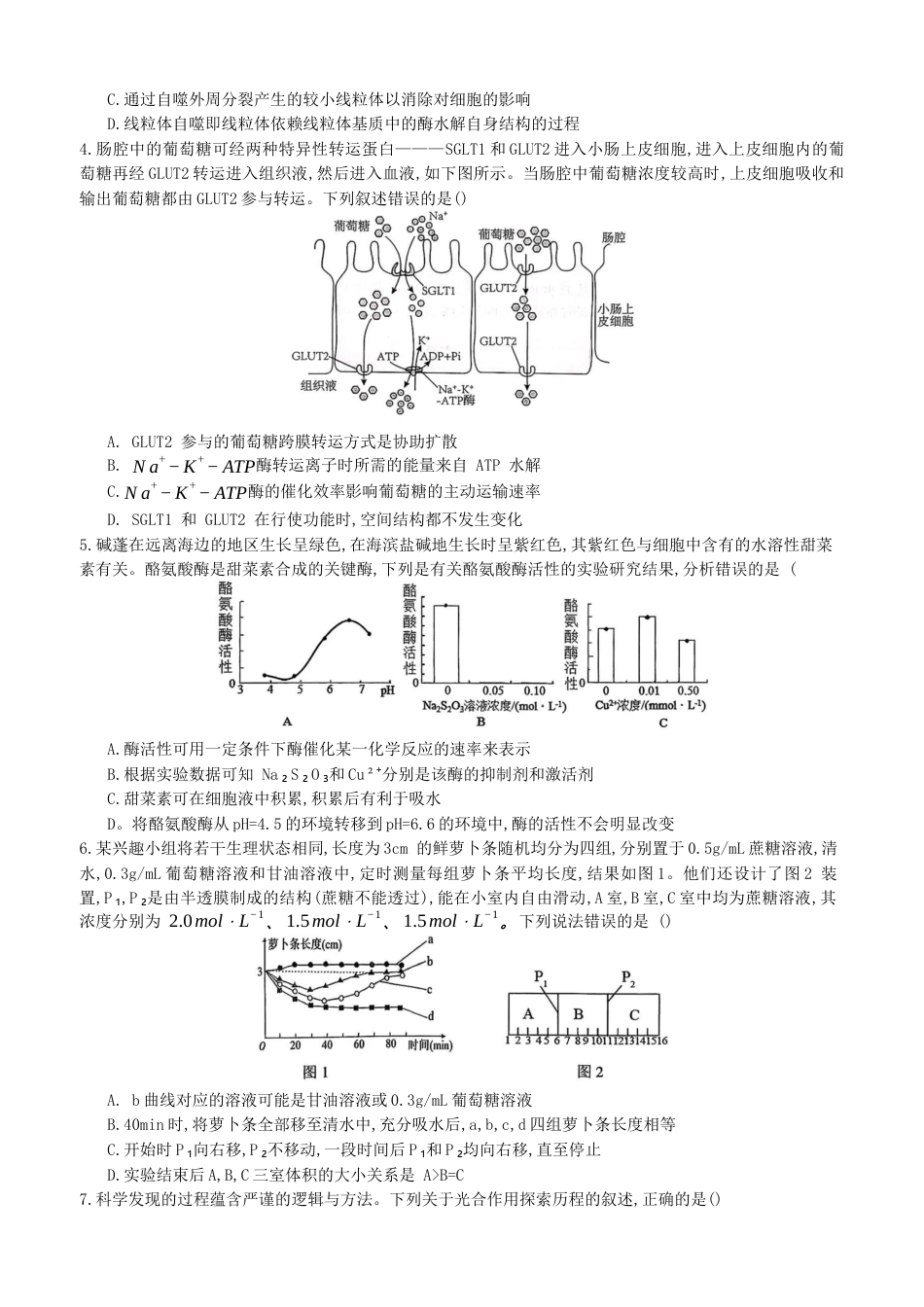 重庆育才中学、鲁能巴蜀中学、万州高级中学高2026届高三10月联合考试生物试题（含答案）.docx_第2页