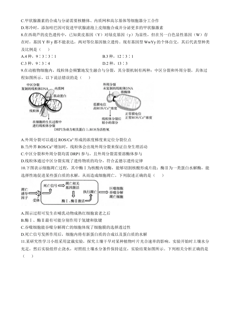 福建省龙岩市一级联盟校2024-2025学年高三上学期11月期中联考生物试题.docx_第3页