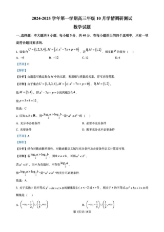 江苏省高邮市2024-2025学年2025届高三（上）学期10月学情调研测试数学试卷（解析版）.pdf