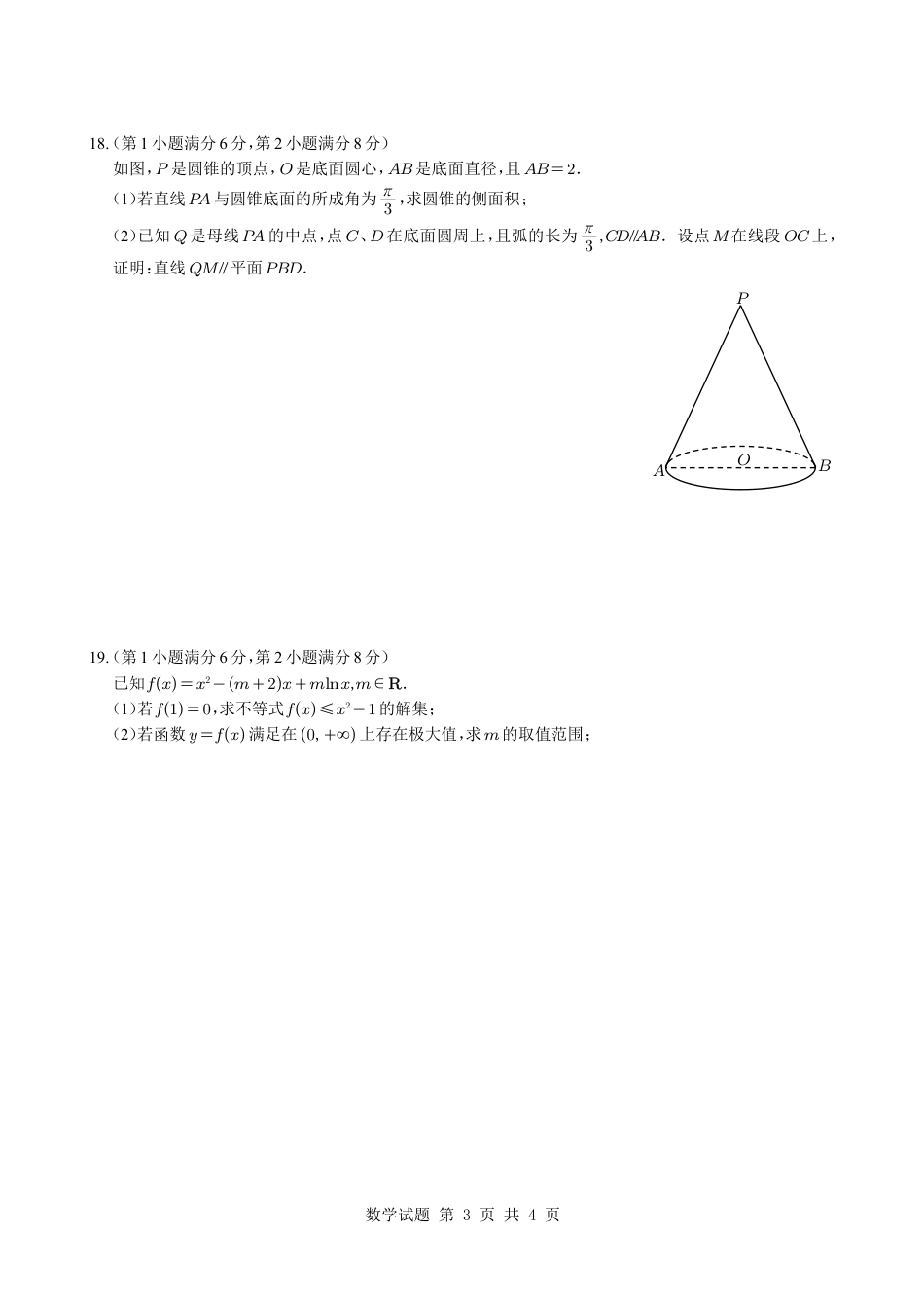 2025《高考数学真题上海卷》.pdf_第3页
