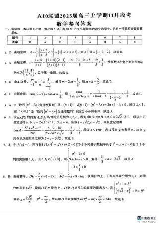 A10联盟2025届高三上学期11月份段考数学试卷答案.pdf