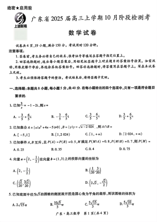 广东省2025届高三上学期10月阶段检测考数学试题.pdf