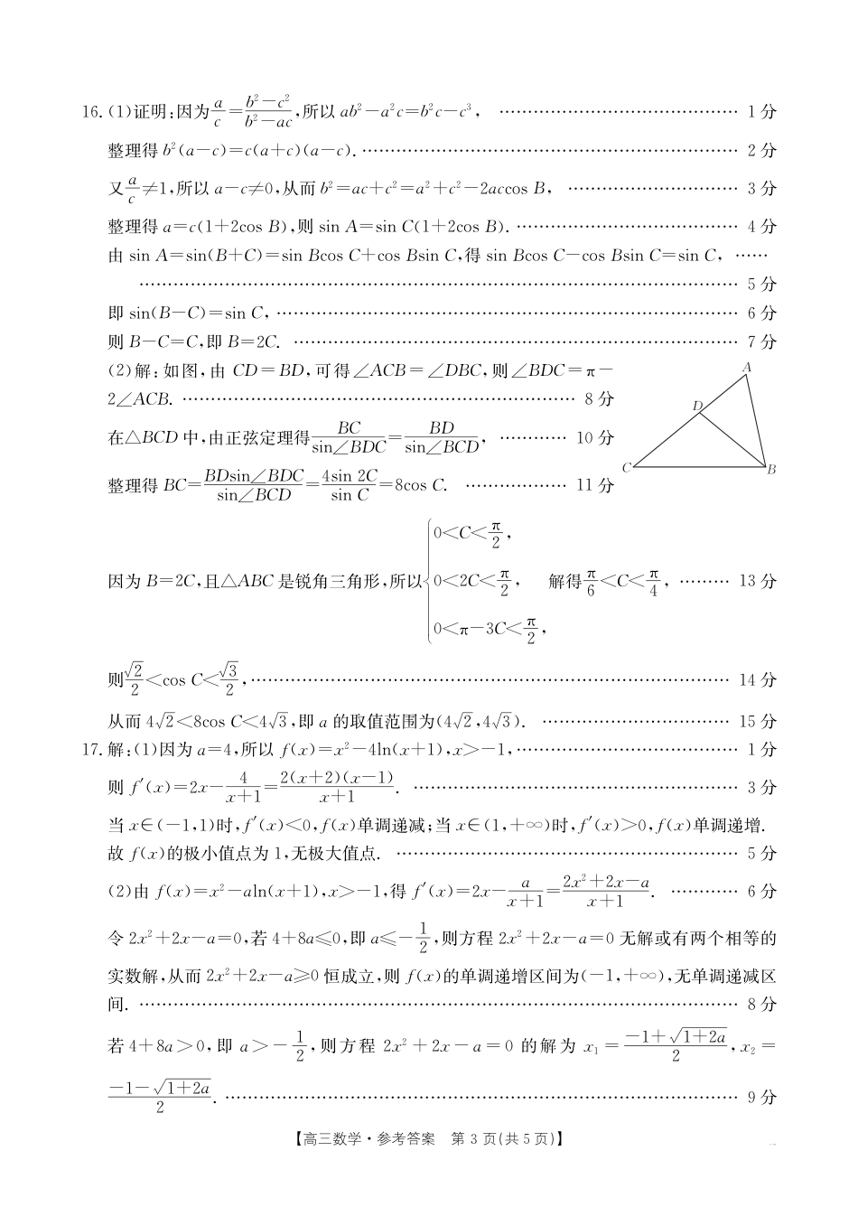 湖北省百校大联考2024-2025学年高三上学期10月联考数学试题答案.pdf_第3页