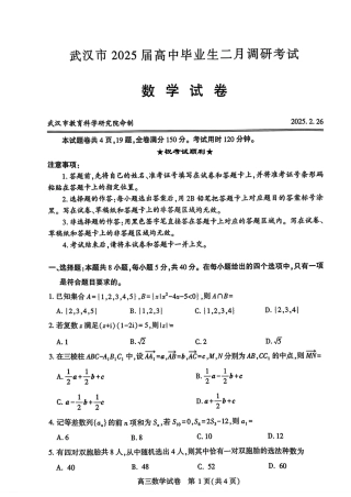 湖北省武汉市2025届高三二月份调研考试数学试题.pdf