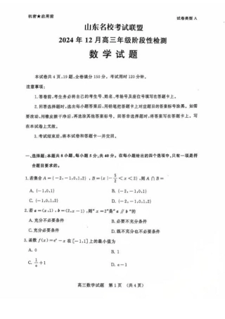 山东省名校考试联盟2024年12月高三阶段性检测数学+答案.pdf