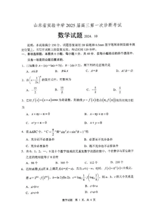 山东省实验中学2024-2025学年高三上学期第一次诊断考试数学试题（PDF版，含答案）.pdf