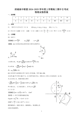 辽宁省大连市滨城高中联盟2024-2025学年高三上学期期中Ⅱ物理试卷_物理（参考答案）2024.11.28(1).pdf