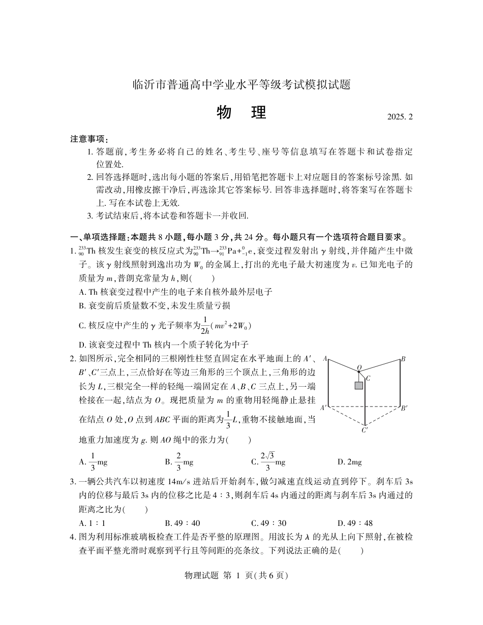 山东省临沂市2025年普通高等学校招生全国统一考试（模拟）（临沂一模）物理+答案.pdf_第1页