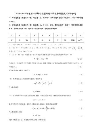 广东省东莞市七校联考2024-2025学年高三上学期12月月考物理答案.pdf