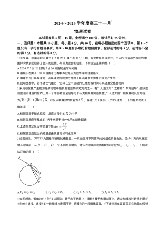 湖北省武汉市江岸区2024-2025学年高三上学期11月调考物理试卷.pdf