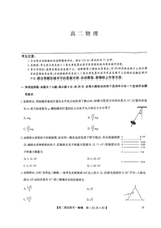 九师联盟2024-2025学年高二下学期6月摸底联考物理试题（含答案）.pdf