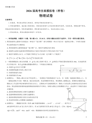 名校教研联盟2026届高考仿真模拟卷（样卷）物理.pdf