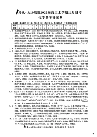 安徽A10联盟2025届高三上学期11月段考化学_化学参考答案B.pdf