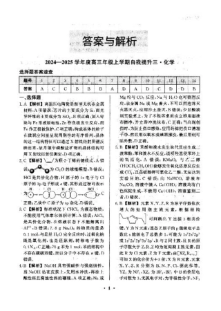 河北省衡水市冀州区河北冀州中学2024-2025学年高三上学期12月月考化学答案.pdf