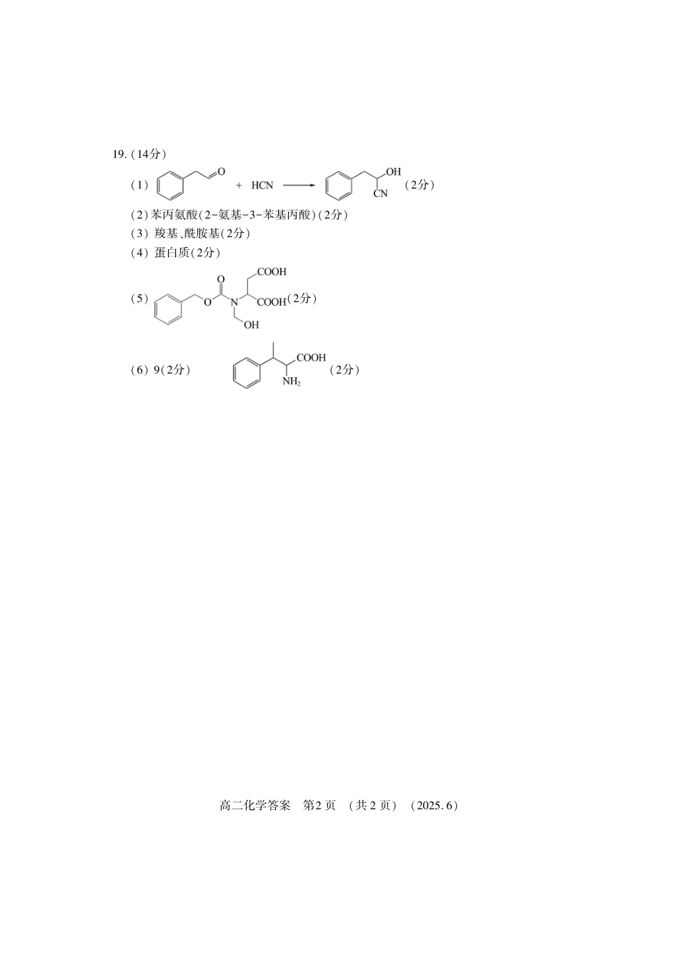 洛阳2024-2025学年6月高二质量检测-化学答案.pdf_第2页