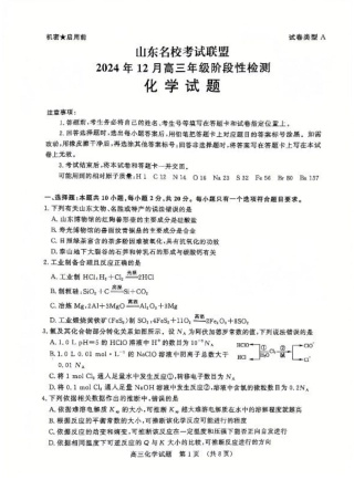 山东省名校考试联盟2024年12月高三阶段性检测化学_化学试卷.pdf