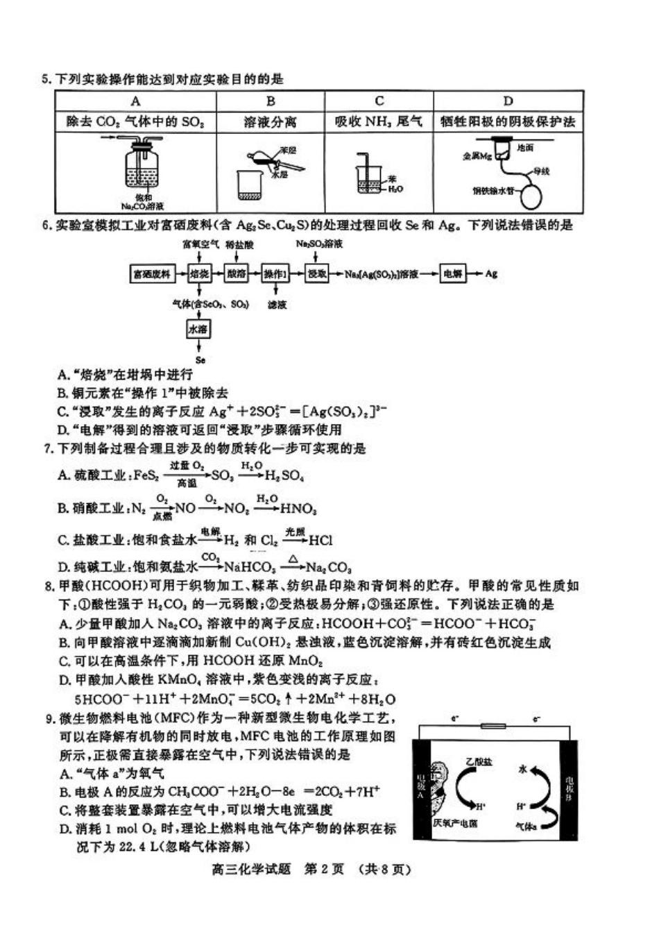 山东省名校考试联盟2024-2025学年高三上学期期中考试化学+答案.pdf_第2页