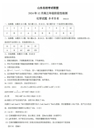 山东省名校考试联盟2024年12月高三阶段性检测化学_化学试卷答案.pdf