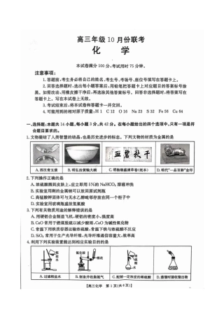 2025届河北高三10月联考化学试题.pdf