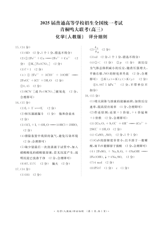 2025届青桐鸣大联考高三上学期11月月考化学试题+答案_11月高三联考化学人教版评分细则.pdf