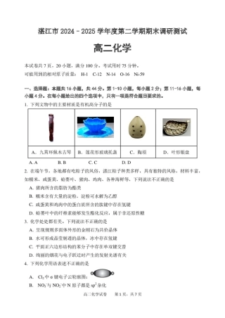 广东省湛江2024-2025学年高二下学期期末调研考试化学试题（含答案）.pdf