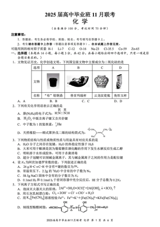 广西新课程教研联盟2025届高三毕业班11月联考化学_化学.pdf