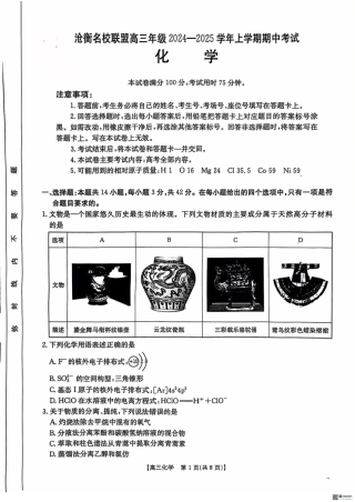 河北省沧衡名校联盟2024-2025学年高三11月期中考试化学_化学.pdf