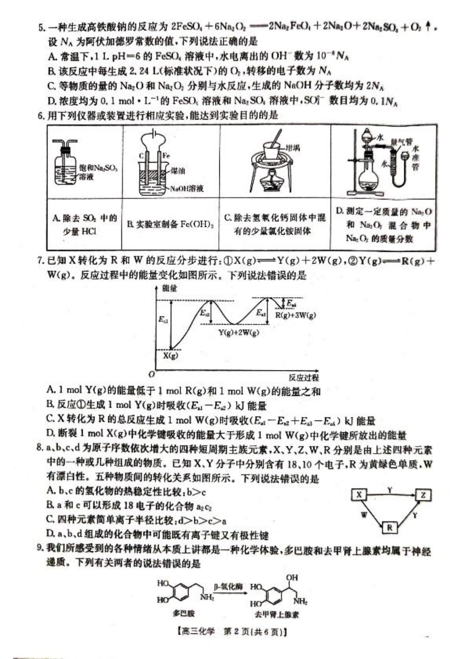湖北省百校大联考2024-2025学年高三上学期10月联考化学试题.pdf_第2页